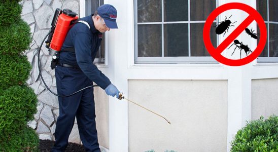 Eğirdir Böcek İlaçlama böcek ilaçlama ve haşere kontrolü — ilaclama-tr.com